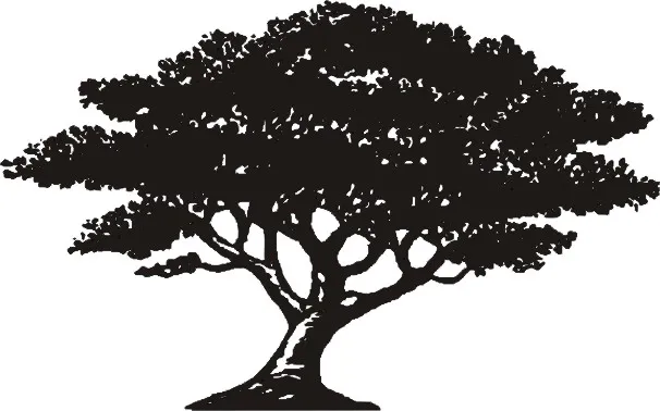 Strom baobab, samolepka na zeď, rozměry 75x120cm / XL