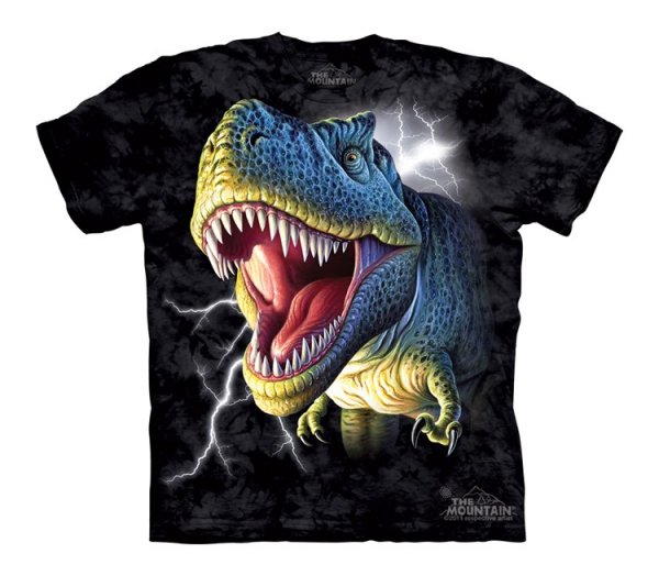 Tričko 3D potisk - krátký rukáv - T-Rex Tearing dinosaurus - The Mountain / děti