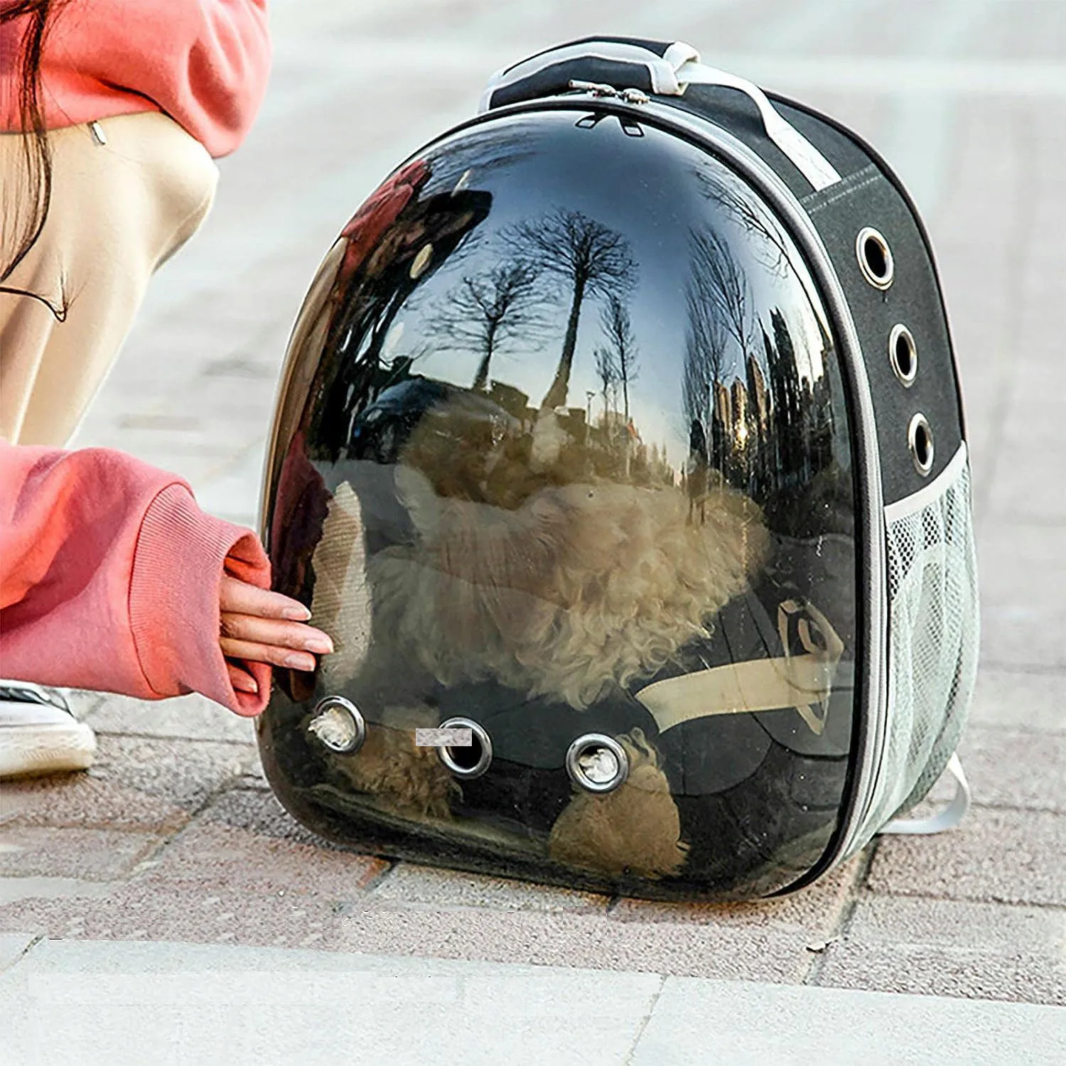 PŘEPRADLE PRO KOČKU / PSA – TAŠKA, PRŮHLEDNÁ, 40x30x28cm, černá