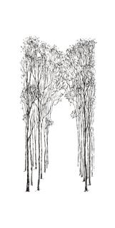 Strom, cesta po lese, samolepka na zeď, rozměry 200x100cm / XXXL