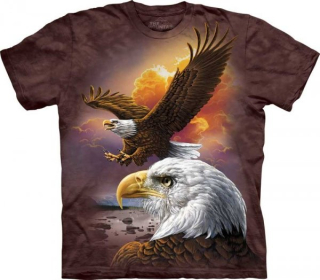 Tričko 3D potisk - krátký rukáv - Eagle & Clouds, orel, orli - The Mountain