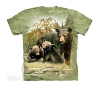 Tričko 3D potisk krátký rukáv - Black Bear Family medvědi - The Mountain / děti