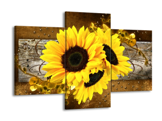VYPRODEJ foto obraz 90x60cm třídílný - Květiny  F005909F90603PCS