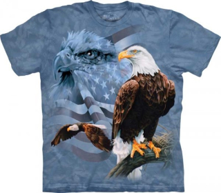 Tričko 3D potisk - Faded Flag & Eagles, orel orli USA - The Mountain