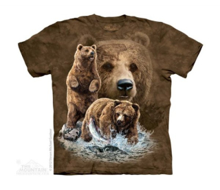 Tričko 3D potisk - Find 10 Brown Bears, medvědi - The Mountain / děti