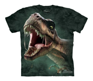 Tričko 3D potisk - T-Rex Roar, dinosaurus - The Mountain / děti