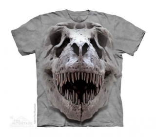 Tričko 3D potisk - T-Rex Big Skull, lebka dinosaura - The Mountain / děti