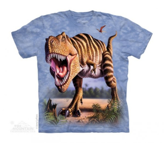 Tričko 3D potisk - Striped Rex, dinosaurus - The Mountain / děti