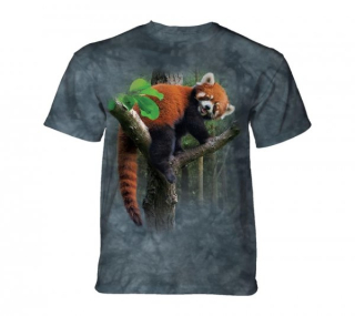 Tričko 3D potisk - Red Panda Tree, červená panda - The Mountain / děti
