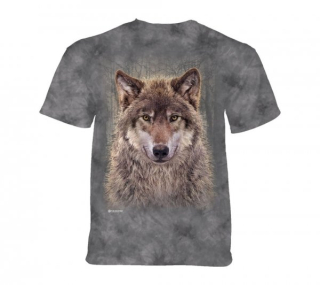 Tričko 3D potisk - Grey Wolf Forest, vlk - The Mountain / děti