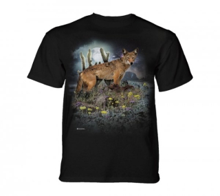 Tričko 3D potisk - Desert Coyote, vlk, kojot - The Mountain / děti