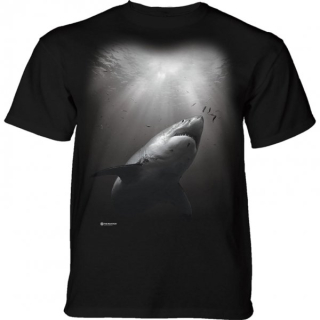 Tričko 3D potisk - Sunburst Shark, žralok - The Mountain