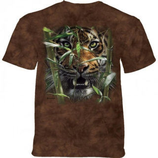 Tričko 3D potisk - Hungry Eyes Tiger, tygr - The Mountain