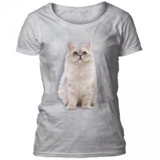 Tričko 3D potisk - Persian Cat, kotě - The Mountain / pro ženy