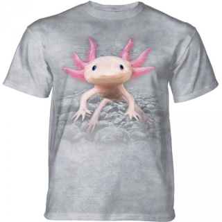Tričko 3D potisk - Axolotl, malé monstrum - The Mountain