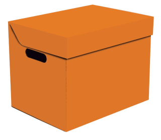 Dekorativní krabice Apla oranžová ONE, úložný box s víkem, vel. 34x25x26cm