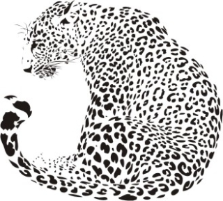 Wild cats 1 / leopard, samolepka na zeď, rozměry 88x98cm / XL